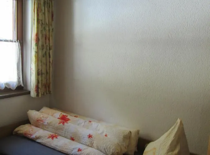 Grüner Apartment